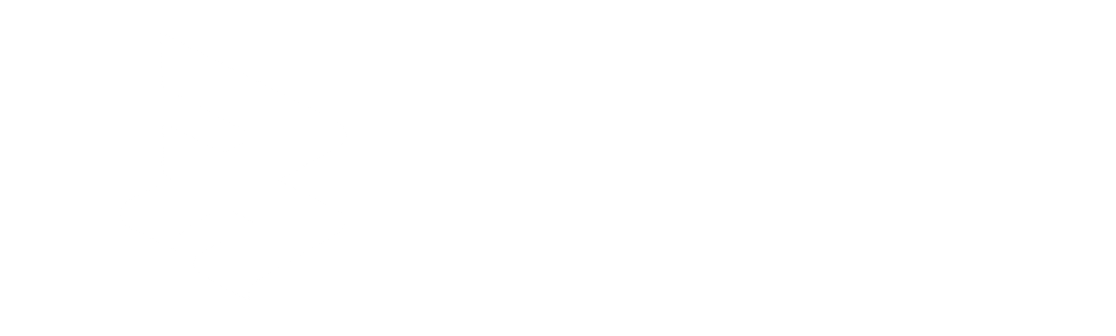 Consultant Logo