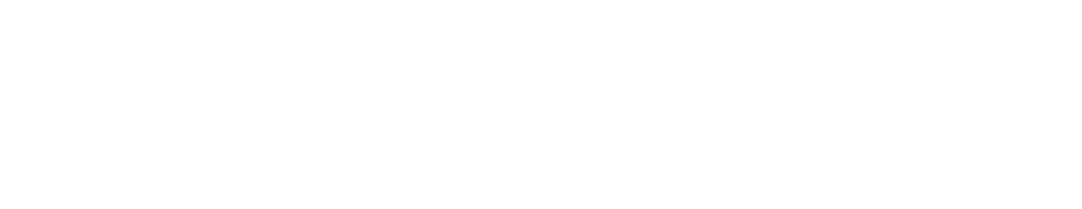 Medium Logo